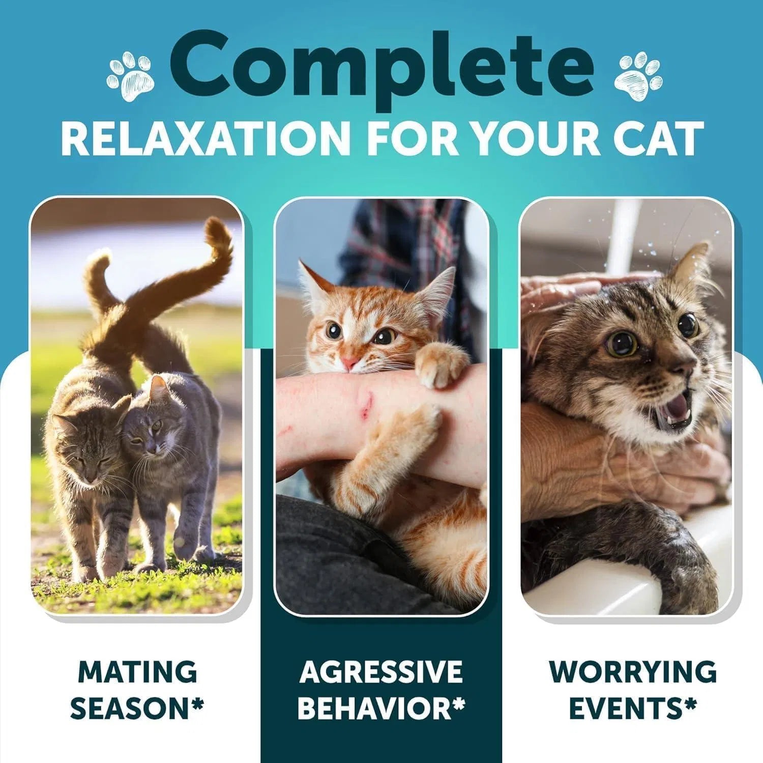 Do Not Sell On Amazon Hemp Cat Calming Treats For Stress & Anxiety Relief Cat Kittens Melatonin Viral Finds Hub