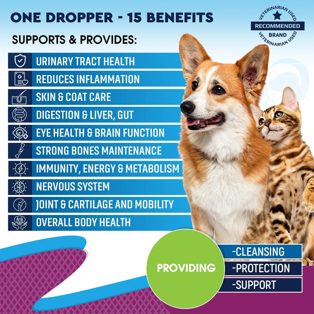 Cat And Dog Multivitamin Liquid With Glucosamine & Cranberry 15 In 1 Health Supplements For Urinary Tract Kidney Bladder Hip And Joint Skin And Coat 60 Ml Viral Finds Hub