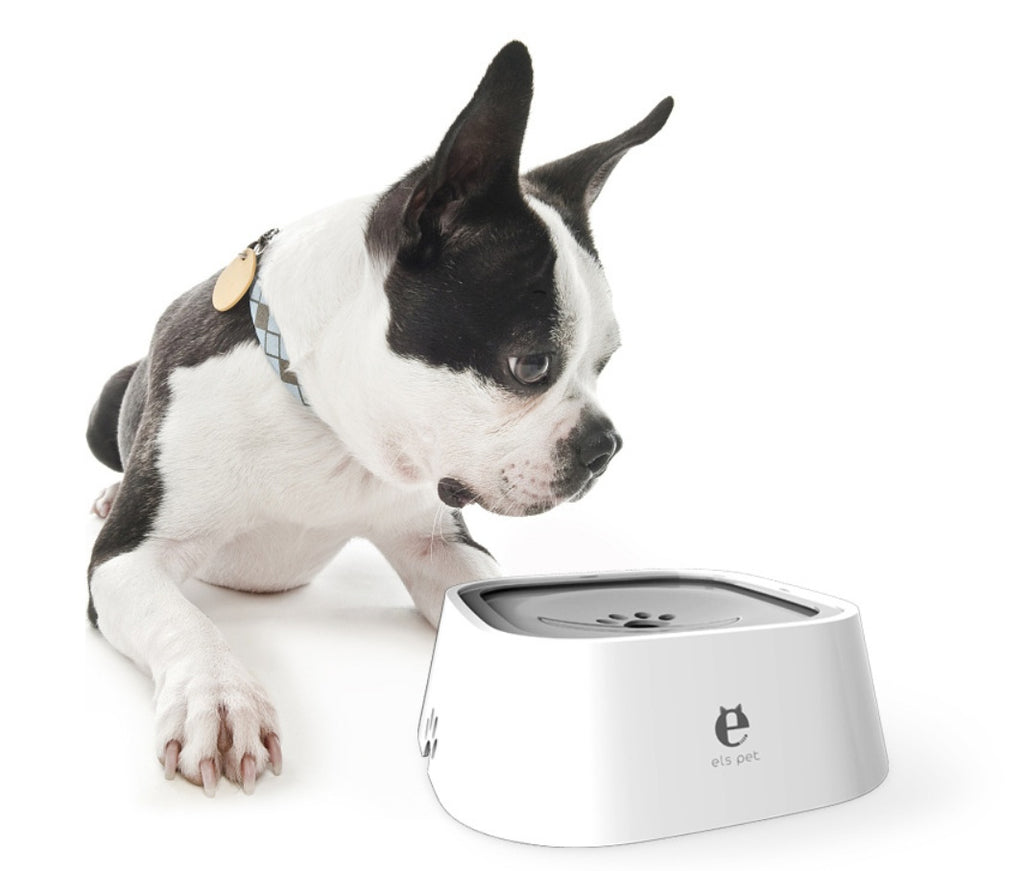 Non-wet Mouth Dog Bowl, Floating Bowl, Anti-overturning Viral Finds Hub