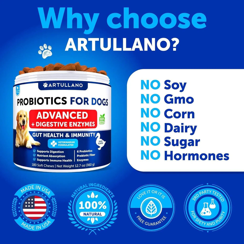 Probiotics For Dogs Support Gut Health Itchy Skin Allergies Immunity Yeast Balance Dog Probiotics And Digestive Enzymes With Prebiotics Reduce Diarrhea Gas 180 Probiotic Chews For Dogs Viral Finds Hub