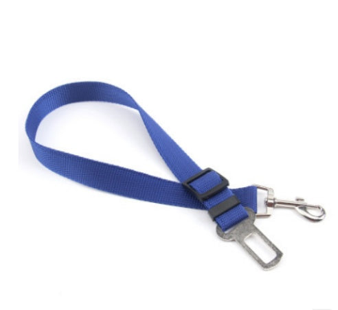 Fixed Strap Polyester Dog Strap Dog Leash Dog Leash Viral Finds Hub