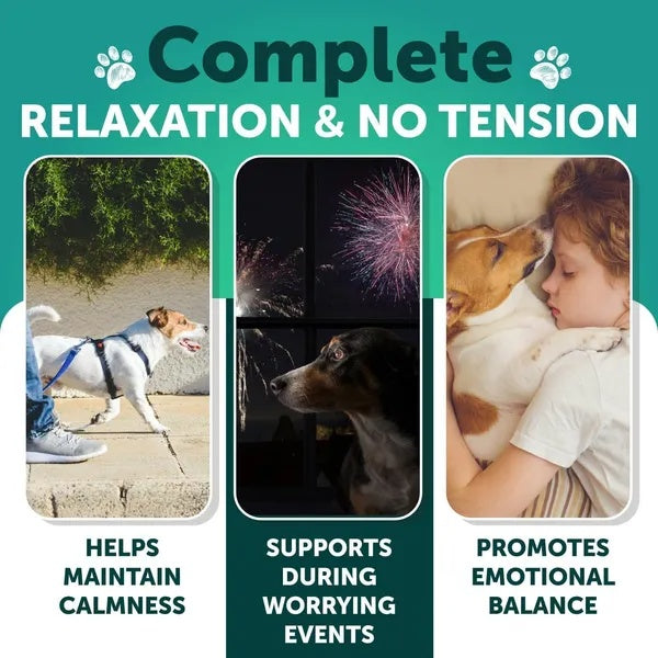 Hemp Calming Chews For Dogs Dog Anxiety Relief Treats With Hemp Oil Turmeric Valerian Ginger Health And Wellness Supplements For Dogs Hip And Joint Support 120 Treats Viral Finds Hub