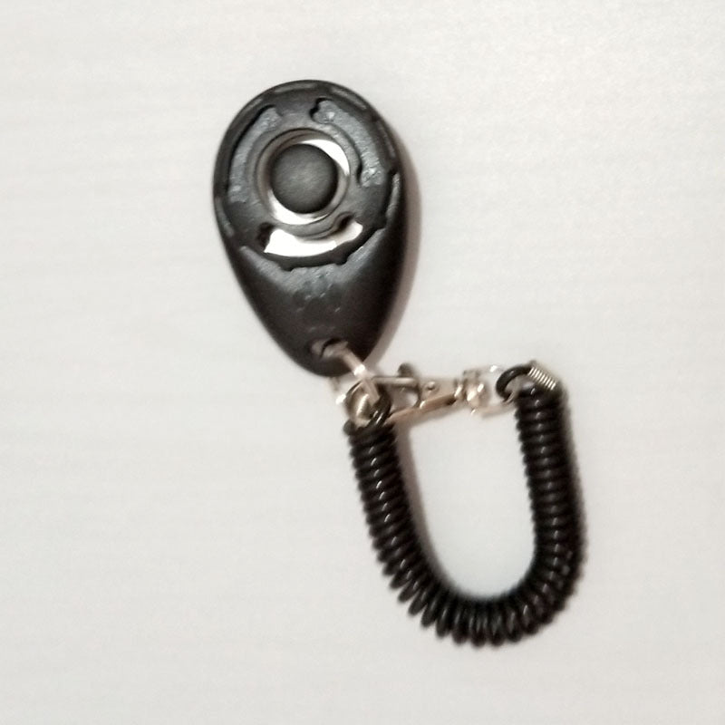 Dog training dog clicker pet supplies Viral Finds Hub