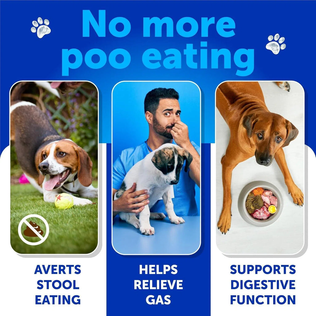 No Poo Chews For Dogs Puppy Coprophagia Stool Eating Deterrent Prevent Dog From Eating Poop Stop Eating Poop Treats With Probiotics & Enzymes Immune Digestive Gut Health Support Supplement Viral Finds Hub