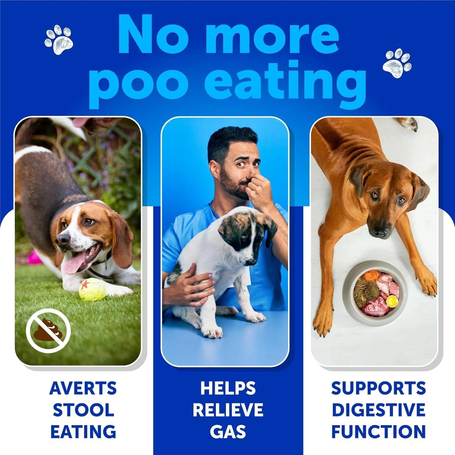 No Poo Chews For Dogs Puppy Coprophagia Stool Eating Deterrent Prevent Dog From Eating Poop Stop Eating Poop Treats With Probiotics & Enzymes Immune Digestive Gut Health Support Supplement Viral Finds Hub