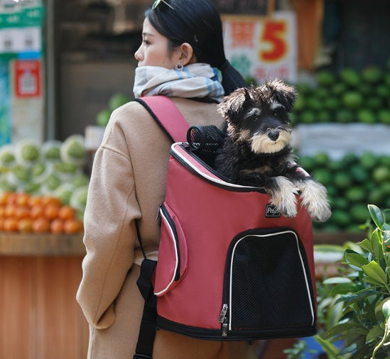 Pet Dog Backpack Viral Finds Hub