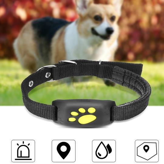 GPS Pet Tracker Viral Finds Hub