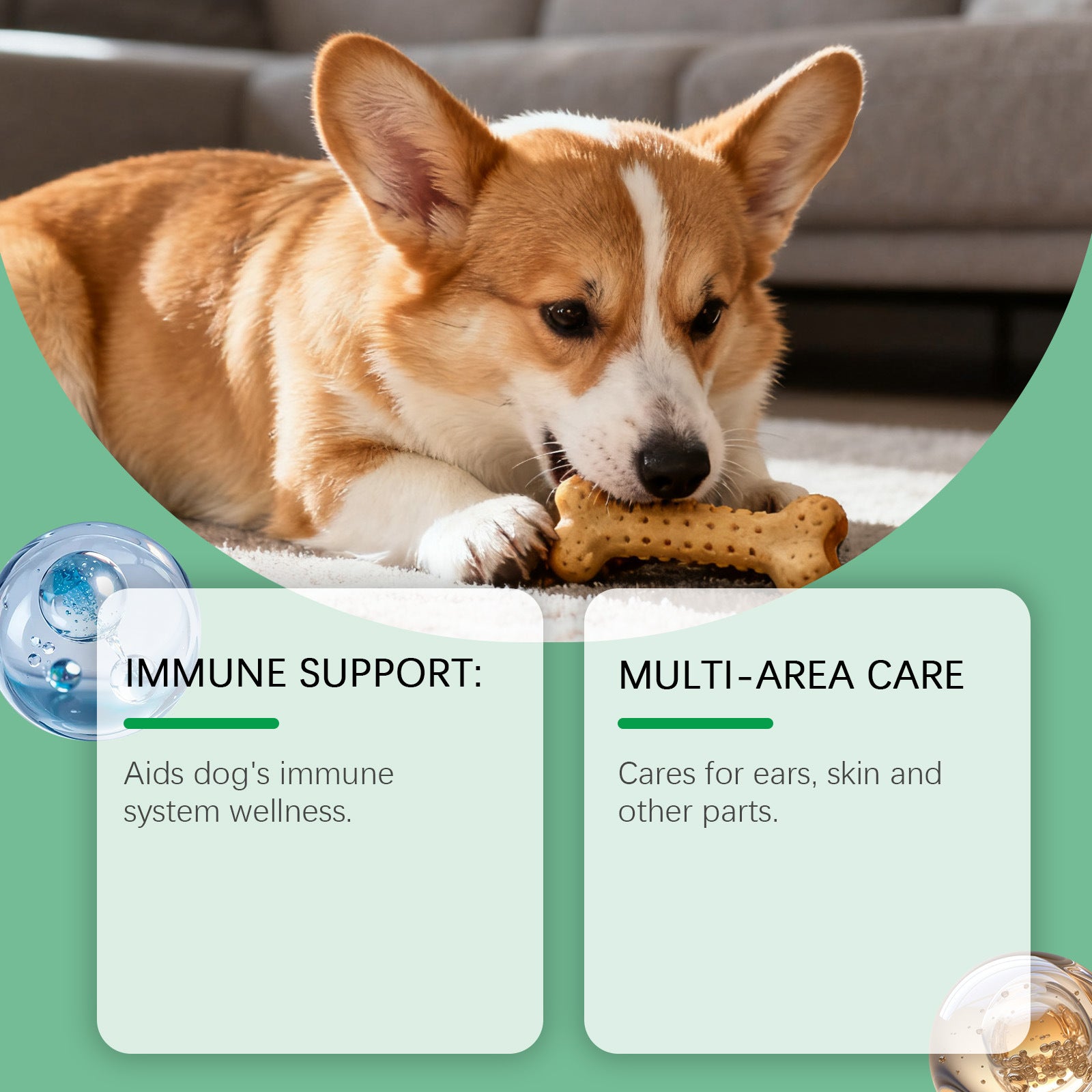 Immune Herbal Drops For Dogs Viral Finds Hub