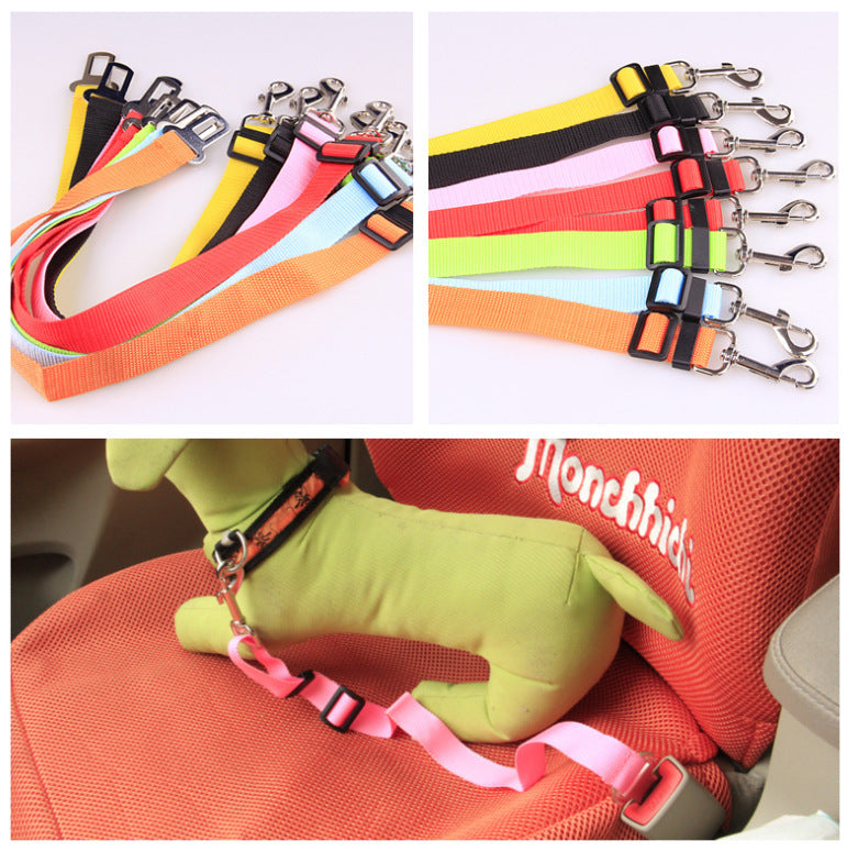 Fixed Strap Polyester Dog Strap Dog Leash Dog Leash Viral Finds Hub
