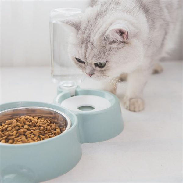 Dog bowl Viral Finds Hub