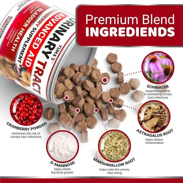 Dog UTI Treatment 170 Treats Cranberry Supplement For Dogs Bladder Control For Dogs Viral Finds Hub