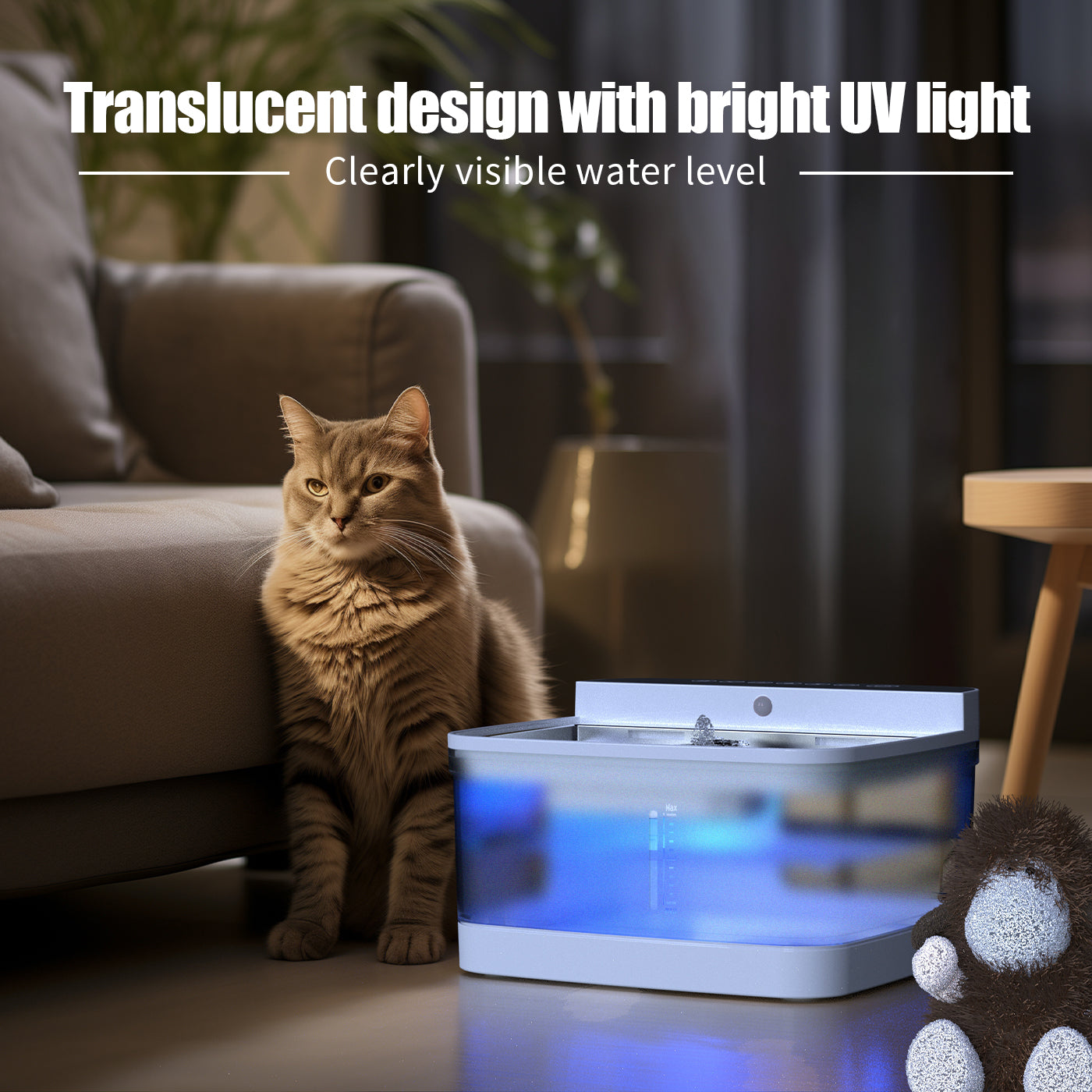 Pet Water Dispenser Viral Finds Hub