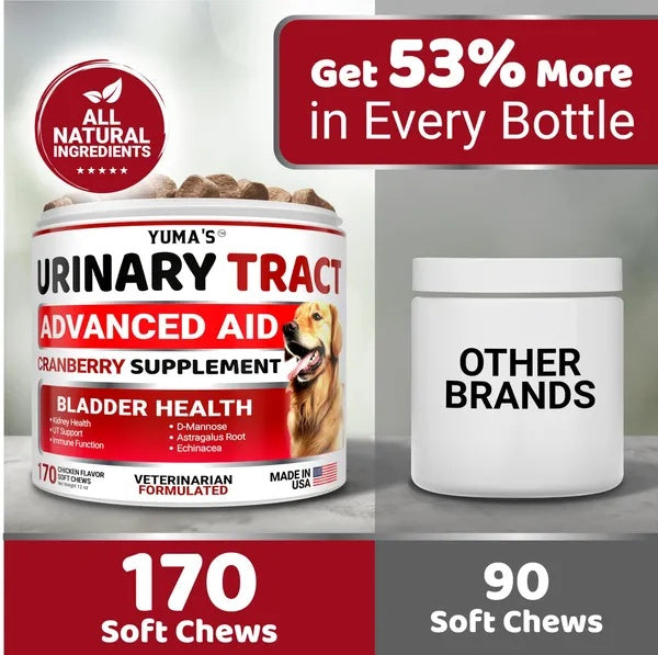 Dog UTI Treatment 170 Treats Cranberry Supplement For Dogs Bladder Control For Dogs Viral Finds Hub
