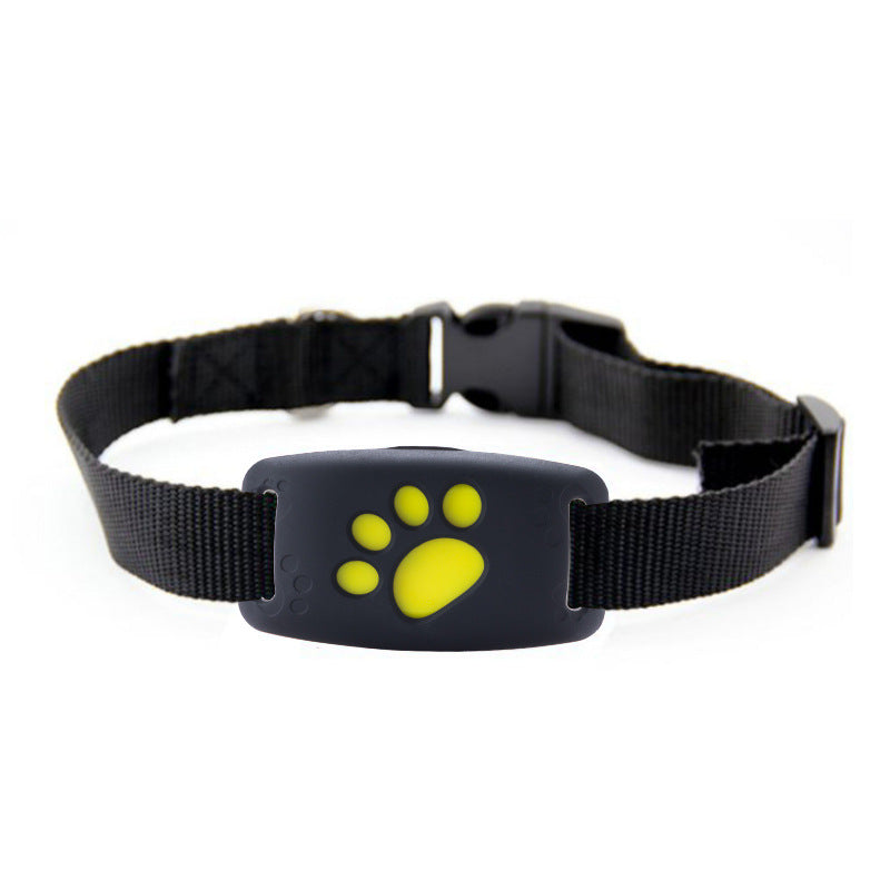 GPS Pet Tracker Viral Finds Hub