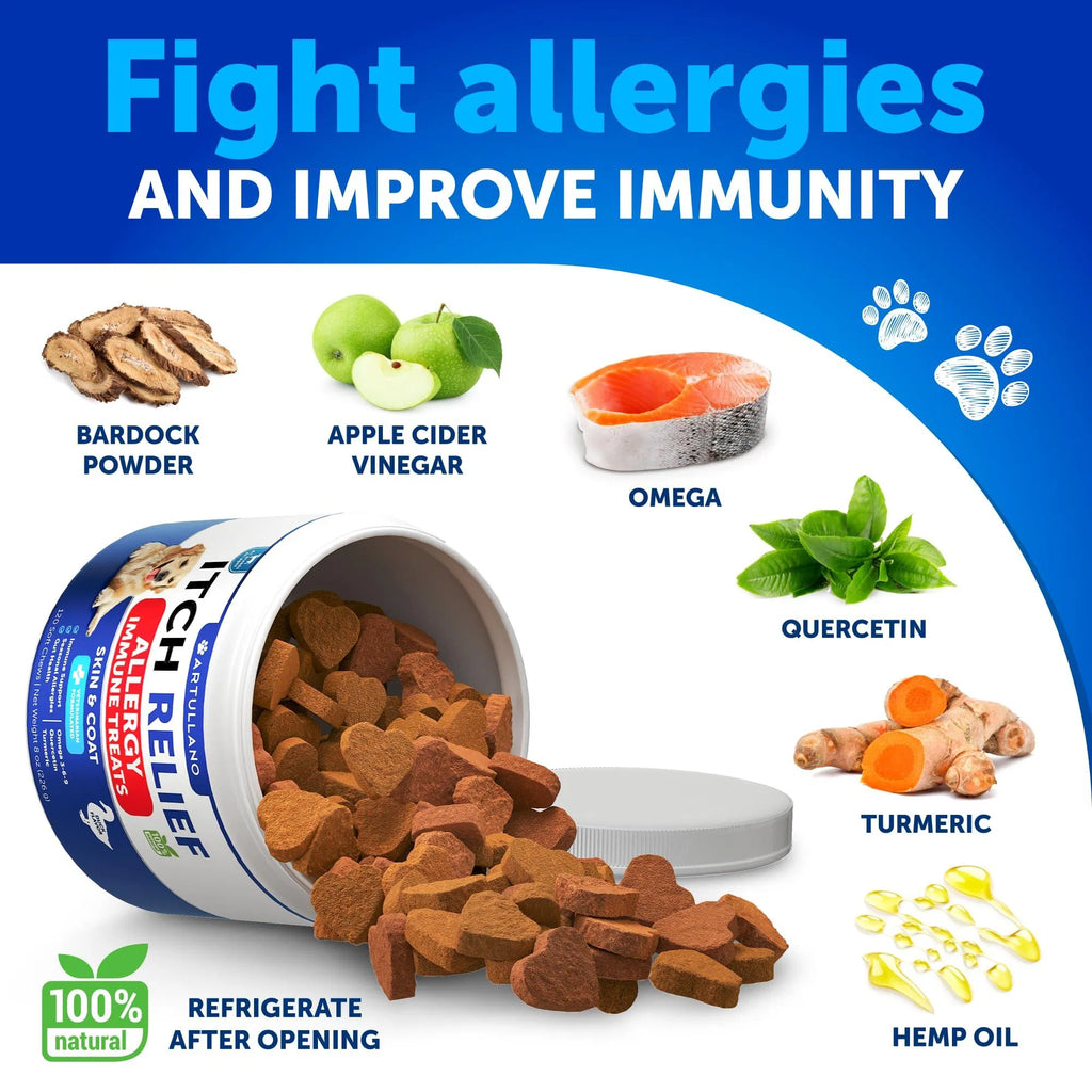 Dog Allergy Relief Chews Itching Skin Relief For Dogs Fish Oil 3 Seasonal Allergies Pills Skin & Coat Anti ItchHot Spots Treatment Canine Immune Health Supplement 120 Soft Treats Viral Finds Hub