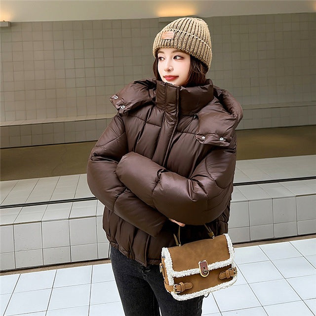 Elegant Fluffy Hooded Cotton Jacket Puffer Jacket Coat Warm Commute Viral Finds Hub