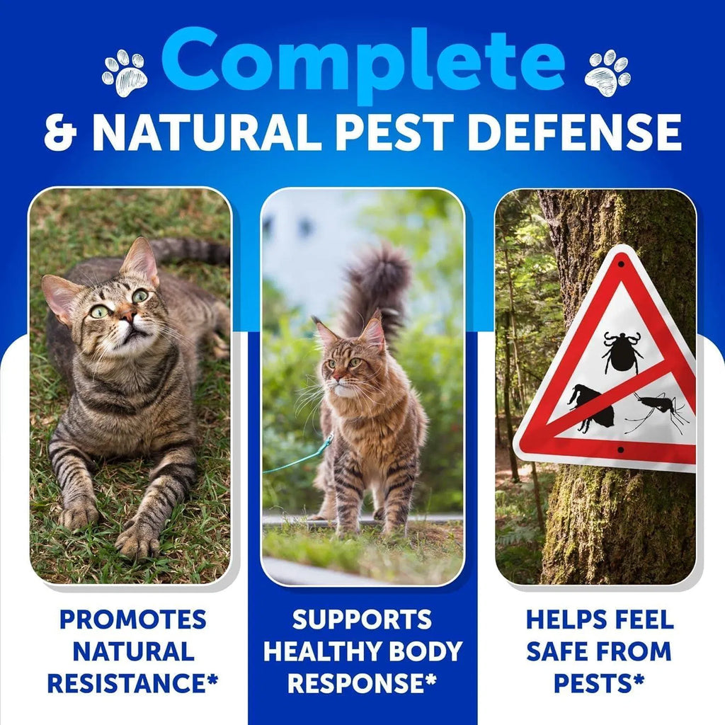 Flea Treatment For Cats Natural Flea And Tick Prevention Supplement For Cats Kittens Chewable Daily Oral Pills With Vitamins 135 Soft Chews Skin & Coat Dental Treats Digestion CANNOT Be Sold On Amazon Viral Finds Hub