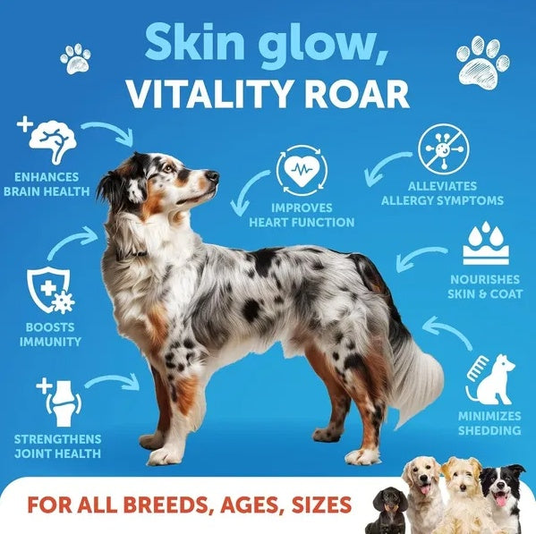 Salmon Oil For Dogs 3 For Dogs 8 FL OZ Wild Alaskan Salmon Fish Oil Viral Finds Hub