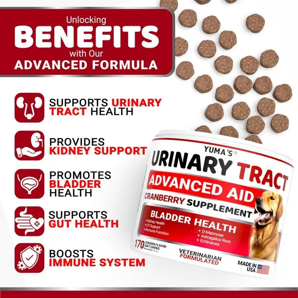 Dog UTI Treatment 170 Treats Cranberry Supplement For Dogs Bladder Control For Dogs Viral Finds Hub