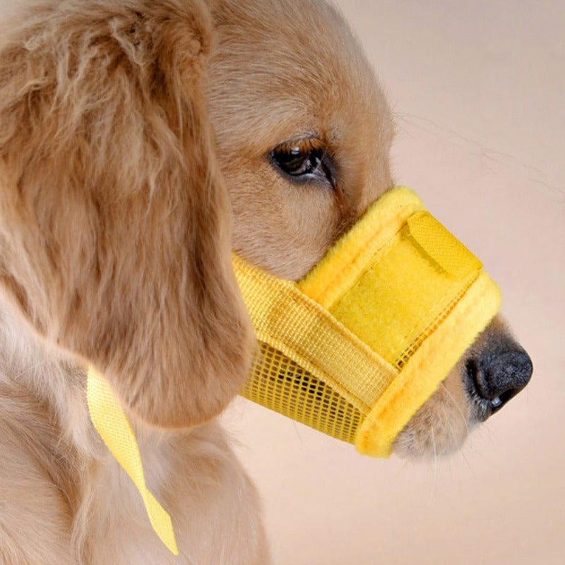 Adjustable Mask For Pets Without Biting Viral Finds Hub