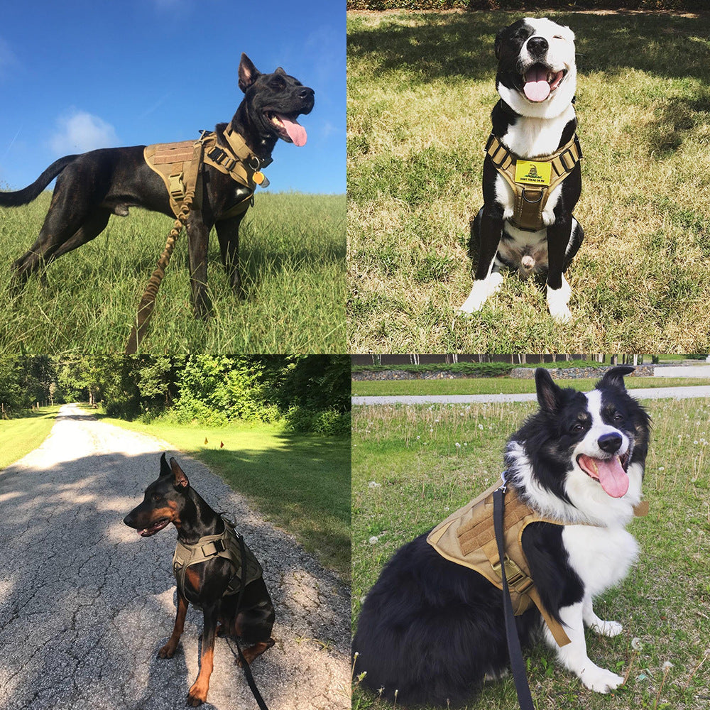 Military Tactical Dog Harness German Shepherd Adjustable Pet Dog Back Viral Finds Hub