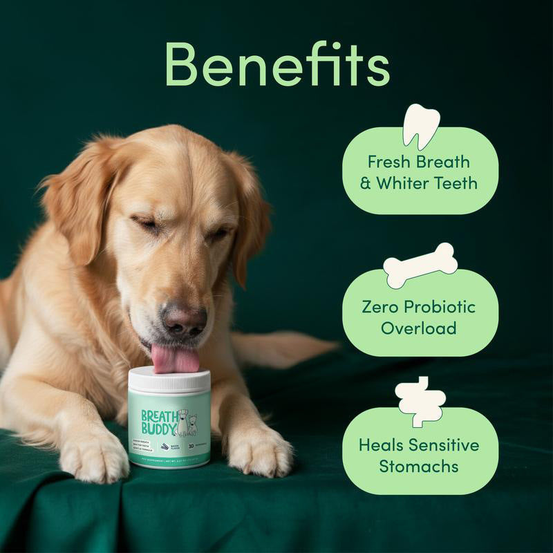 Pet Oral Care Powder Dog Teeth-Cleaning Powder Viral Finds Hub