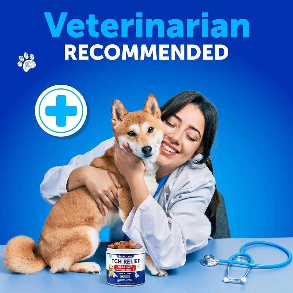Dog Allergy Relief Chews Itching Skin Relief For Dogs Fish Oil 3 Seasonal Allergies Pills Skin & Coat Anti ItchHot Spots Treatment Canine Immune Health Supplement 120 Soft Treats Viral Finds Hub