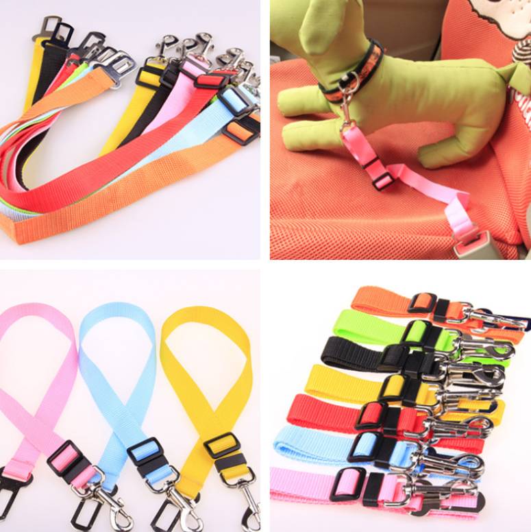 Fixed Strap Polyester Dog Strap Dog Leash Dog Leash Viral Finds Hub