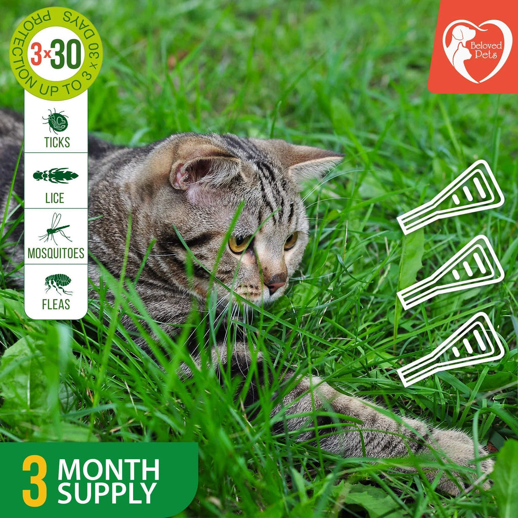 Flea And Tick Prevention For Dogs Cats Rabbits Natural Flea Treatment Home Pest Control Topical Flea Mosquito Repellent For Puppy Kitten 3 Drops For Small And Large Pet Viral Finds Hub