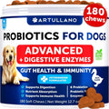Probiotics For Dogs Support Gut Health Itchy Skin Allergies Immunity Yeast Balance Dog Probiotics And Digestive Enzymes With Prebiotics Reduce Diarrhea Gas 180 Probiotic Chews For Dogs Viral Finds Hub