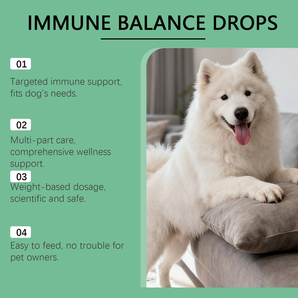 Immune Herbal Drops For Dogs Viral Finds Hub