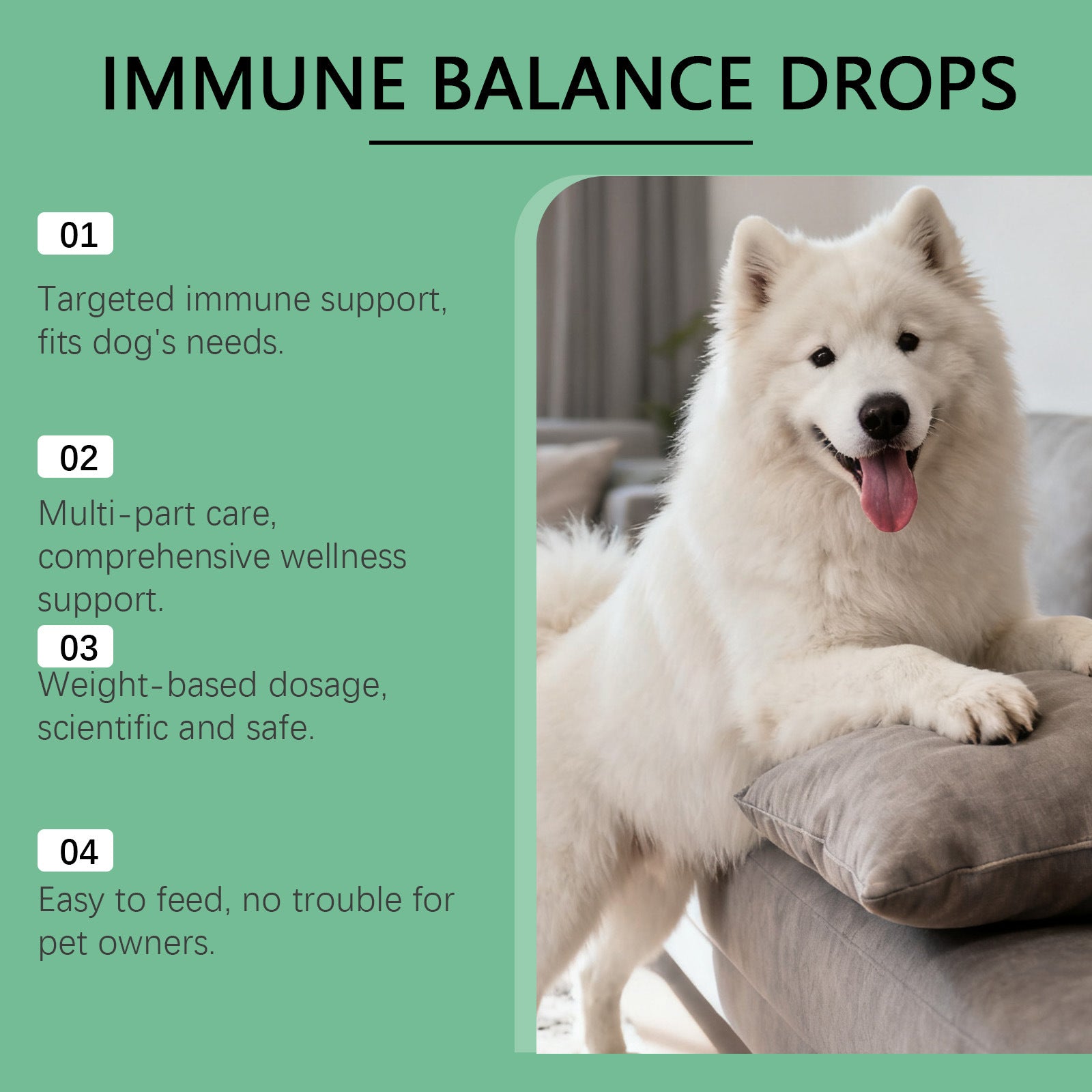 Immune Herbal Drops For Dogs Viral Finds Hub