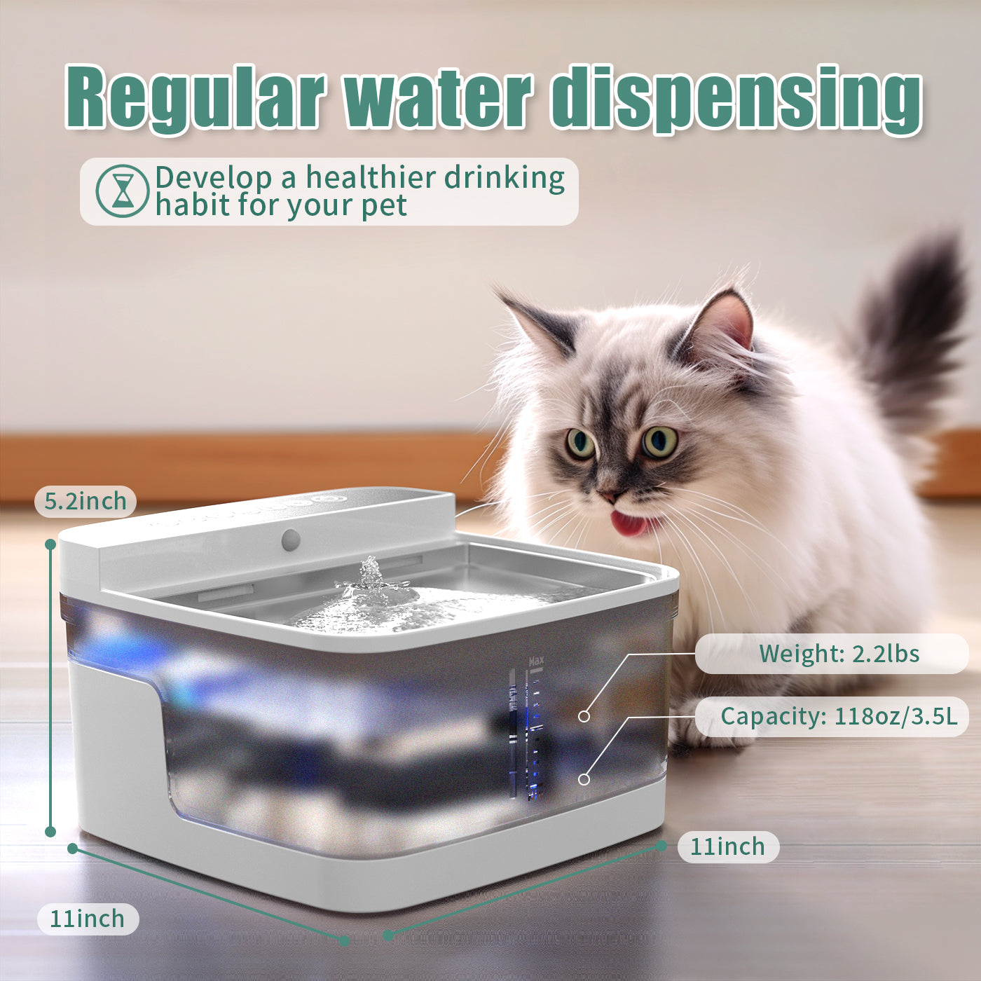 Pet Water Dispenser Viral Finds Hub