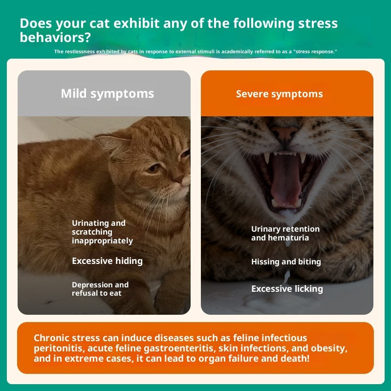 Cat Anti-stress Soothing And Calming Pheromone For Outings Viral Finds Hub