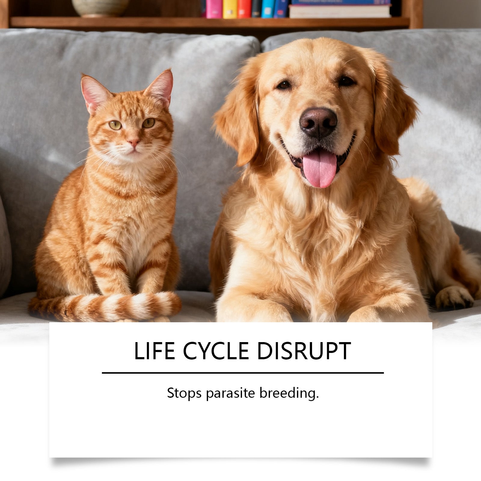 Flea And Tick Prevention Support Drops For Dogs And Cats Viral Finds Hub