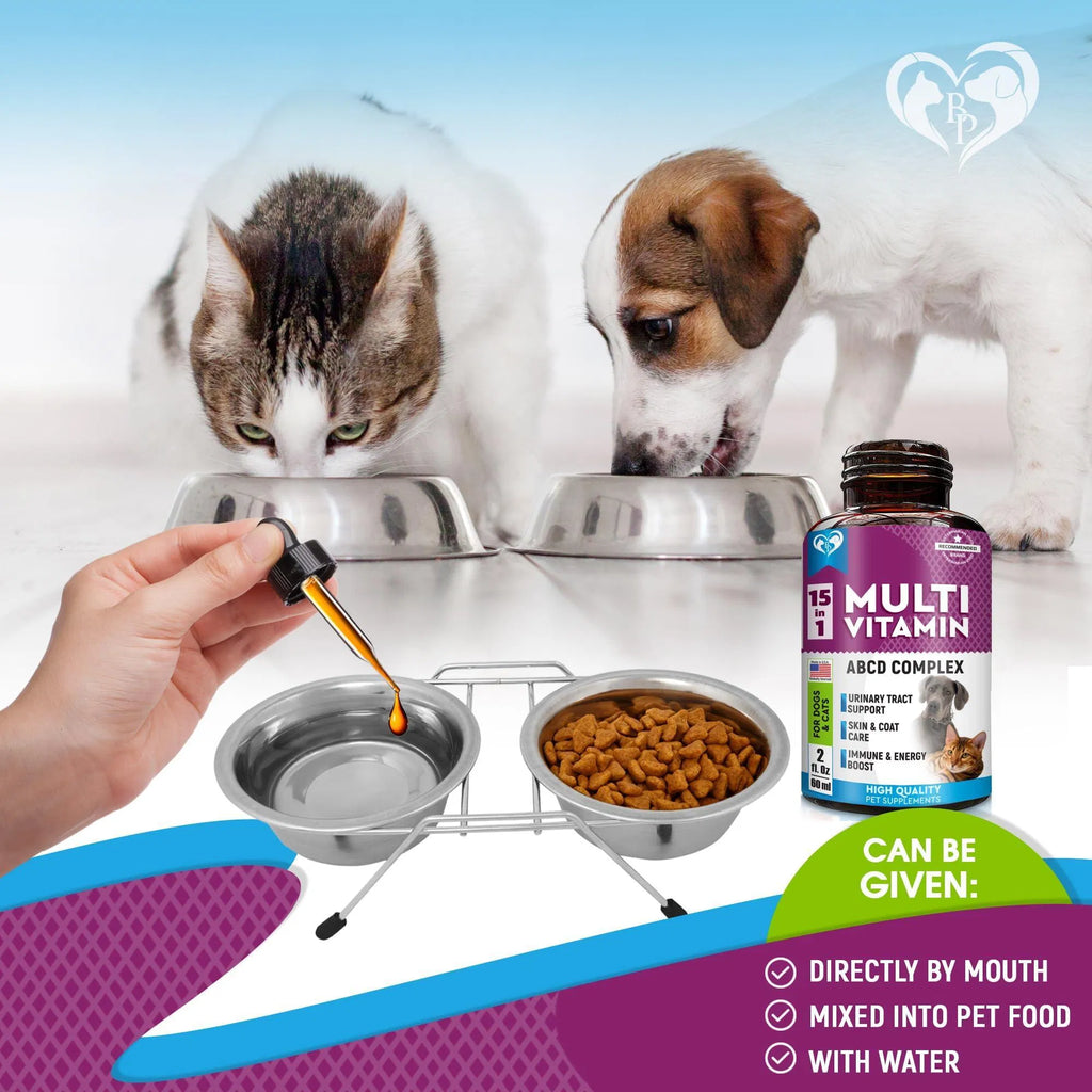 Cat And Dog Multivitamin Liquid With Glucosamine & Cranberry 15 In 1 Health Supplements For Urinary Tract Kidney Bladder Hip And Joint Skin And Coat 60 Ml Viral Finds Hub