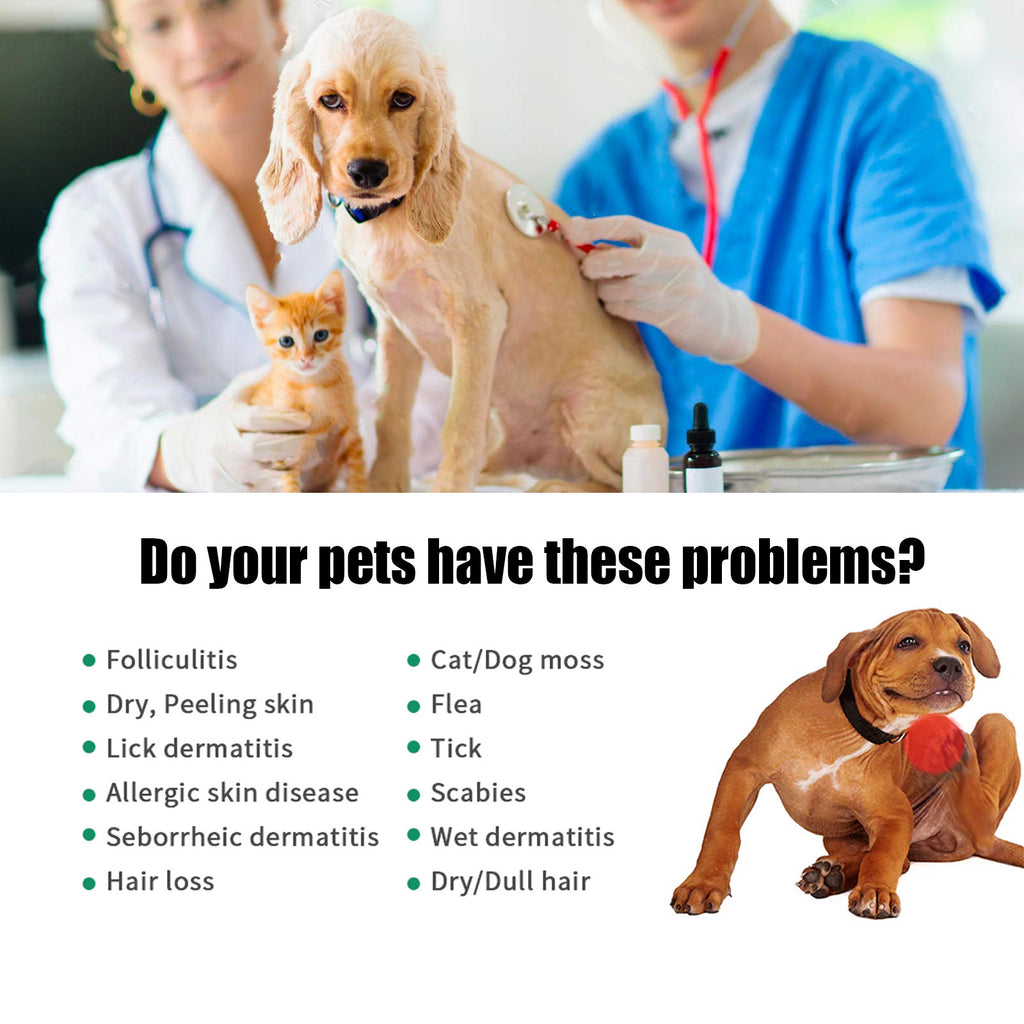 Pet Hair Care Relieve Skin Itching Hair Fluffy Soft Care Solution Viral Finds Hub