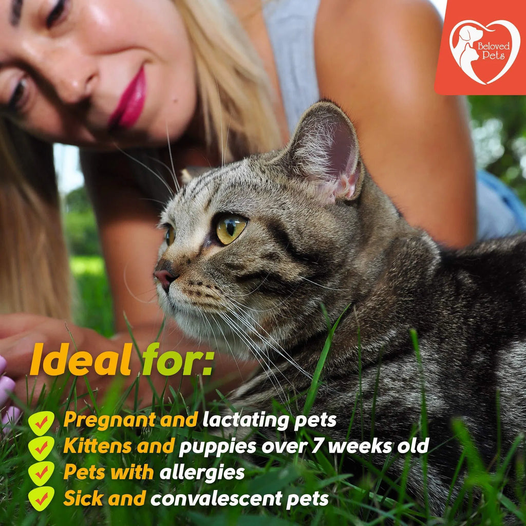 Flea And Tick Prevention For Dogs Cats Rabbits Natural Flea Treatment Home Pest Control Topical Flea Mosquito Repellent For Puppy Kitten 3 Drops For Small And Large Pet Viral Finds Hub