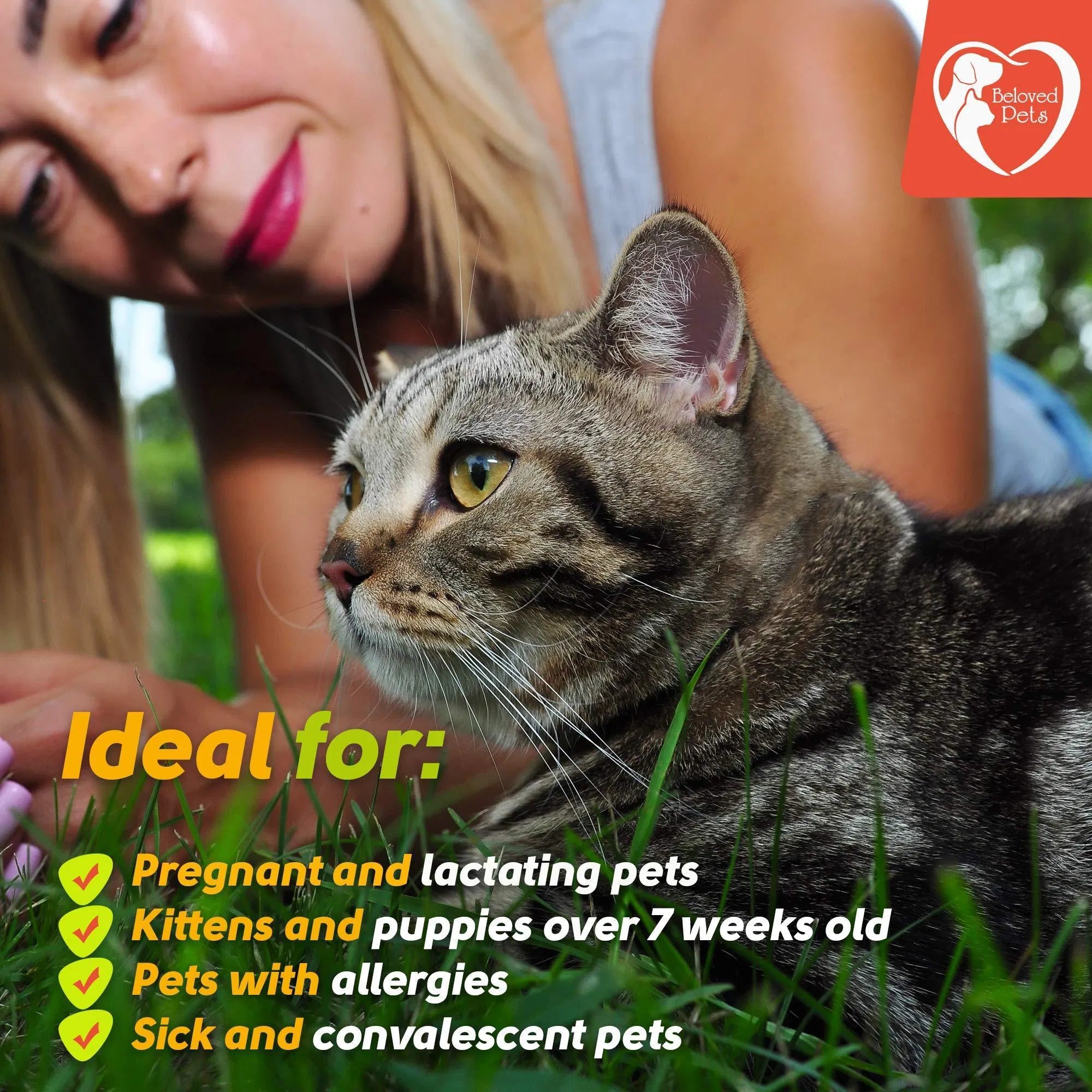 Flea And Tick Prevention For Dogs Cats Rabbits Natural Flea Treatment Home Pest Control Topical Flea Mosquito Repellent For Puppy Kitten 3 Drops For Small And Large Pet Viral Finds Hub