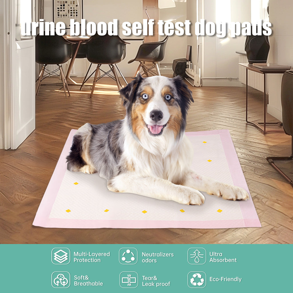 Dog Detection Urine Pad Viral Finds Hub