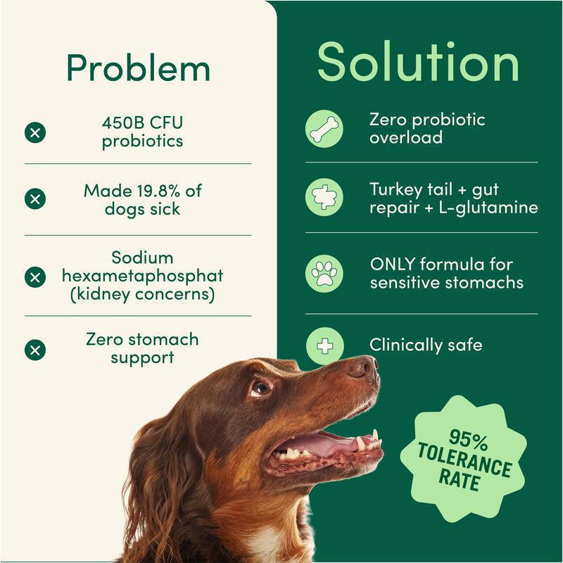 Pet Oral Care Powder Dog Teeth-Cleaning Powder Viral Finds Hub