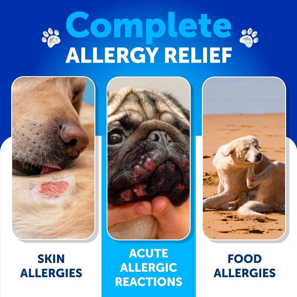 Dog Allergy Relief Chews Itching Skin Relief For Dogs Fish Oil 3 Seasonal Allergies Pills Skin & Coat Anti ItchHot Spots Treatment Canine Immune Health Supplement 120 Soft Treats Viral Finds Hub