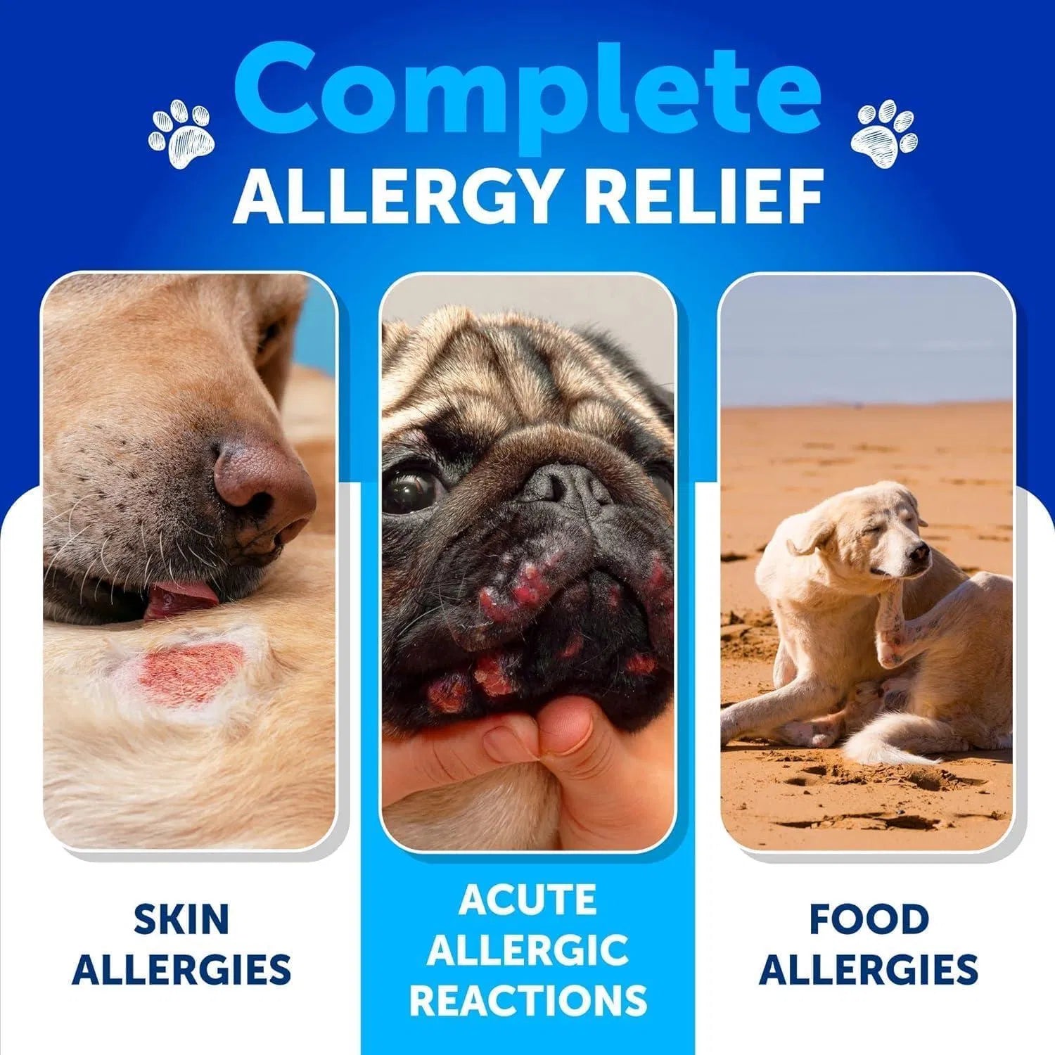 Dog Allergy Relief Chews Itching Skin Relief For Dogs Fish Oil 3 Seasonal Allergies Pills Skin & Coat Anti ItchHot Spots Treatment Canine Immune Health Supplement 120 Soft Treats Viral Finds Hub
